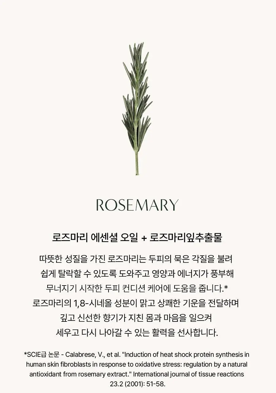 [4주완성탈모앰플/두피진정보습] 아로마티카 로즈마리 루트 볼류마이징 두피 앰플 20ml (단품/세트) 상세페이지 7